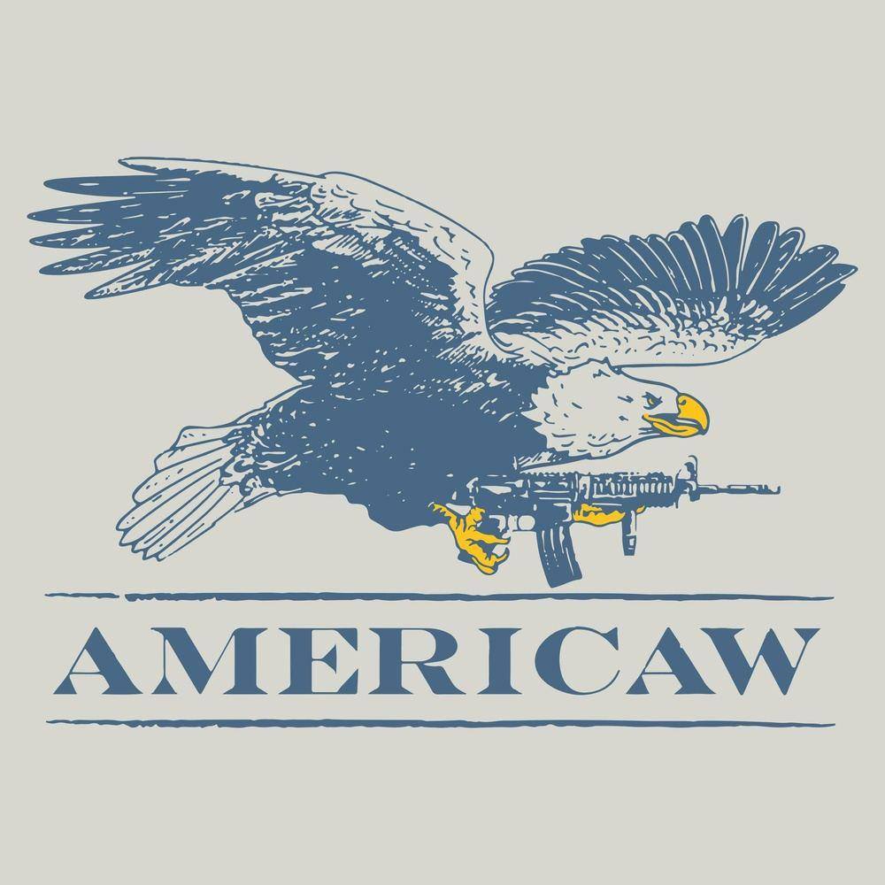 American Eagle Patriotic Shirt 